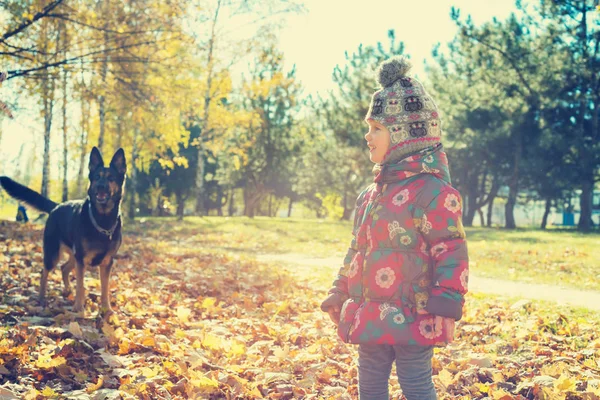 Lachende meisje met een grote hond — Stockfoto