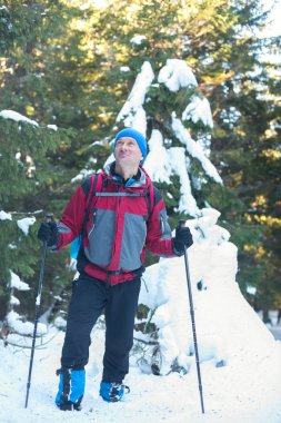 Uzun yürüyüşe çıkan kimse kar arasında çam ağaçlarıyla kaplı 