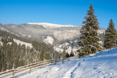 Kış dağlarda çam ormanları arasında küçük bir köy