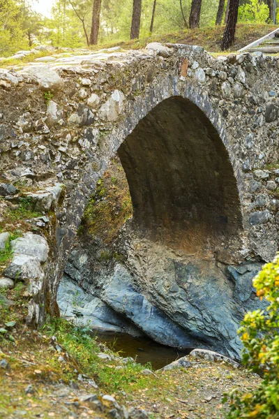 Středověká benátský most v lese — Stock fotografie