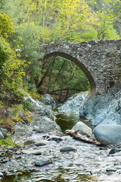 Ponte veneziano sullo sfondo di alberi verdi — Foto Stock