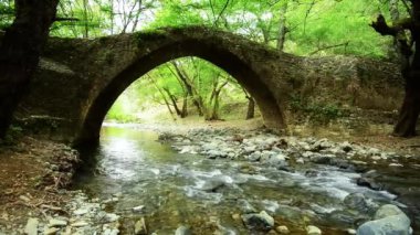Dağ nehir Ortaçağ Venedik köprünün altından akan