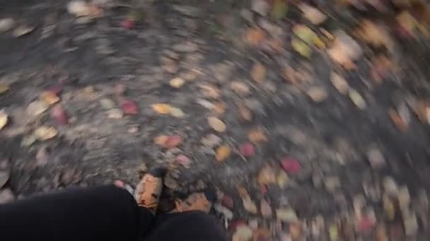 Kolorowe buty trekingowe obrócić na tle jesiennych liści — Wideo stockowe
