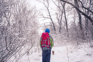 Uzun yürüyüşe çıkan kimse ile küçük köpek kış ormanda yürüyor 