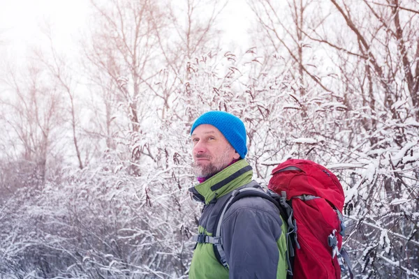 Caminhante relaxante na floresta de inverno — Fotografia de Stock