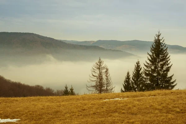 Dağlarda sisli gün — Stok fotoğraf