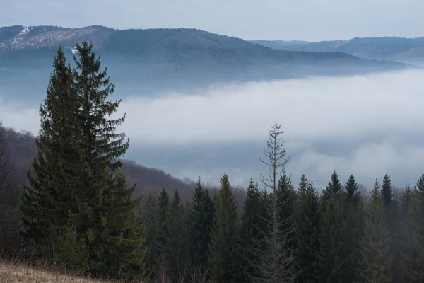 Nebeltag in den Winterbergen — Stockfoto