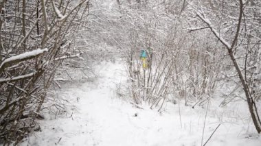 Sportif mutlu kadın uzun yürüyüşe çıkan kimse yürüyor