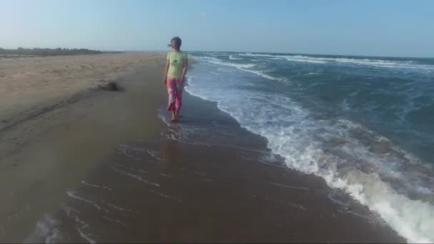 Женщина идет вдоль линии серфинга — стоковое видео