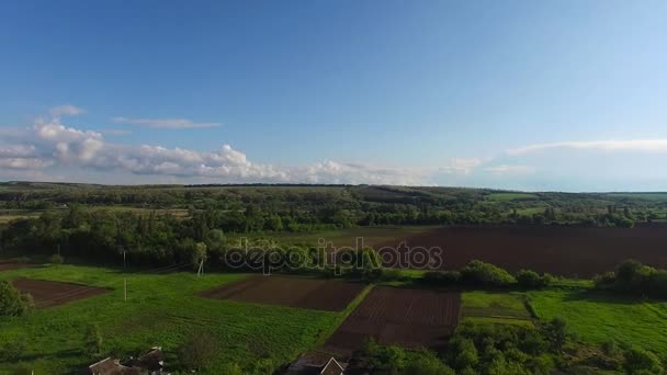 Panorama van platteland in zonnige dag na storm — Stockvideo