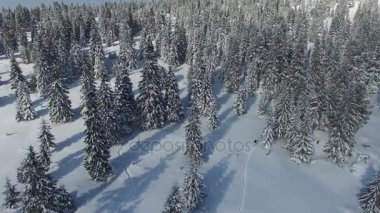 Kar ayakkabılarını üzerinde gider sportif bir kadının havadan görünümü