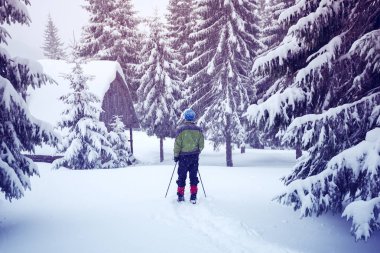 Adam trekking Polonyalılar ile belgili tanımlık sığınak için geliyor