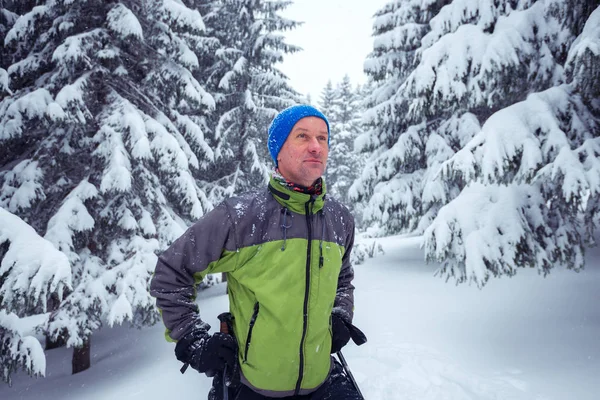 Trekking Polonyalılar ile sportif adam çam ormanı içinde duruyor — Stok fotoğraf