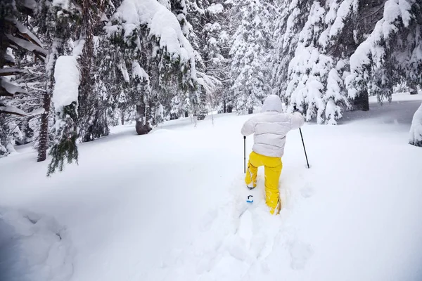 La mujer deportiva va en raquetas de nieve. Vista trasera —  Fotos de Stock