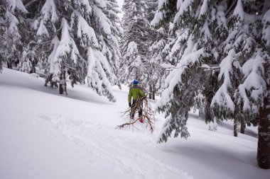 Dostum, gezgin bir kucak dolusu yakacak odun sürükler