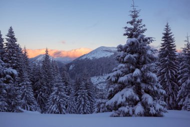 Dağlarda sessiz akşam kar fırtınası sonra