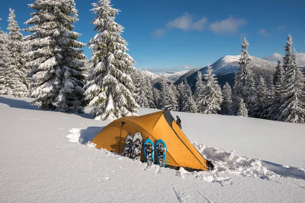 Gula tält och snöskor står sida vid sida — Stockfoto