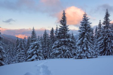 Sihirli kış günbatımı dağlarda 