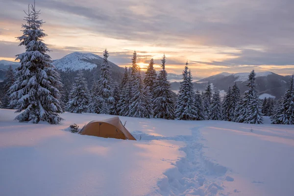 Yellow tent covered with frost are in winter mountains — Stock Photo, Image