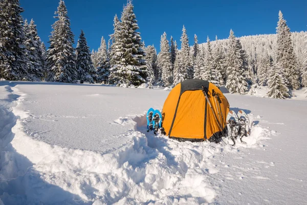Ljusa gula tält och snöskor på Alpina äng — Stockfoto
