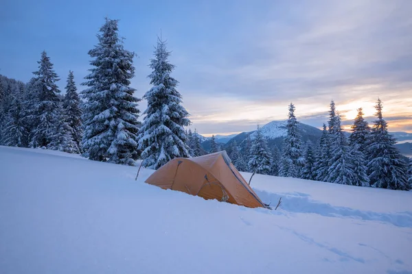 Yellow tent in the hoarfrost, standing on an alpine meadow — Stock Photo, Image