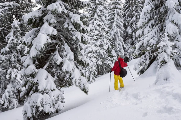Mujer está caminando en las montañas de invierno, admirando impresionantes vistas —  Fotos de Stock