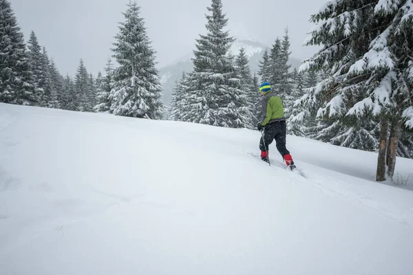 Hombre viajero va en raquetas de nieve a través de la pradera alpina —  Fotos de Stock