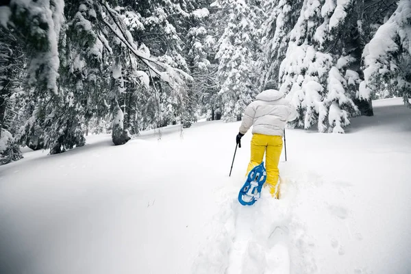 Traveller går kraftigt på snöskor — Stockfoto