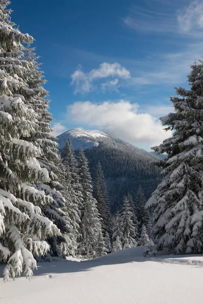 Волшебный зимний пейзаж - солнечный день в горах — стоковое фото