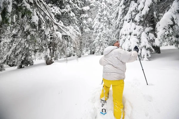Mulher caminhante vai em sapatos de neve na floresta de coníferas — Fotografia de Stock
