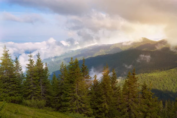 녹색 산에 무거운 구름 플 로트 — 스톡 사진