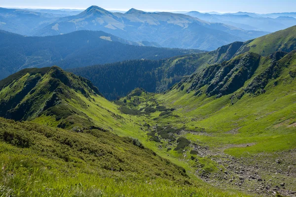 Güneşli bir bahar günü, yeşil tepelerin arasında harika gorge — Stok fotoğraf