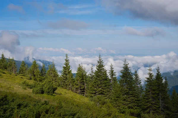 녹색 산 계곡에 떠 있는 구름에서 보기 — 스톡 사진