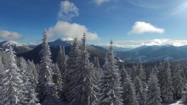 Flygfoto över bergen på magiska vinterdag — Stockvideo