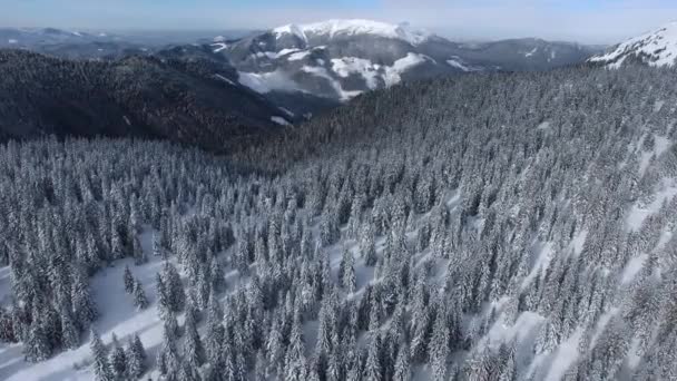 Летим вперед к горной долине — стоковое видео