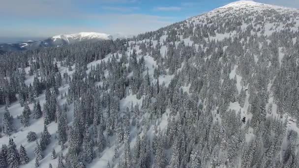 Που πετούν πάνω από τα βουνά με ένα όμορφο χειμωνιάτικο απόγευμα — Αρχείο Βίντεο