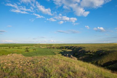 Bahar manzara - yeşil taze ot ile kaplı bir çayır 