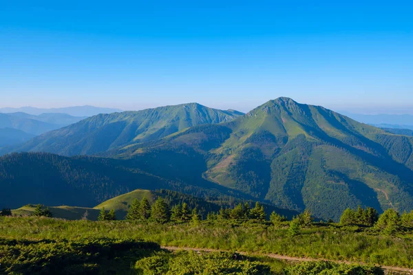 푸른 잔디, 푸른 안개로 덮여 산 정상 — 스톡 사진