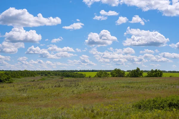 Le nuvole galleggiano nel cielo blu sopra la prateria verde — Foto Stock