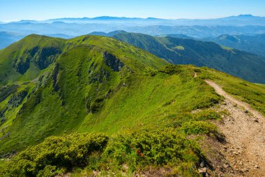 Yeşil dağ sırtı, taze ot ile kaplı