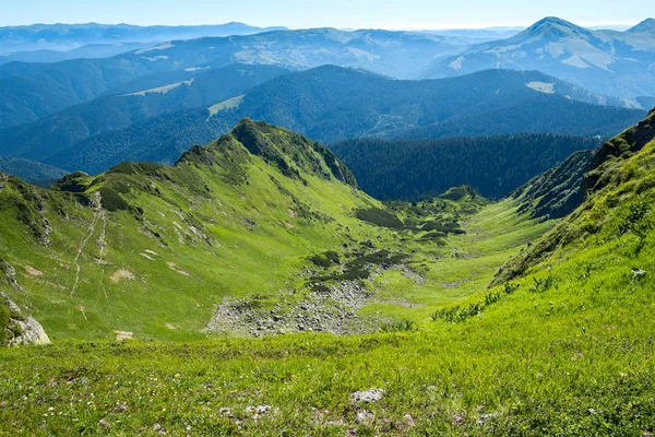 Taze yeşil çim kaplı dağ gorge — Stok fotoğraf