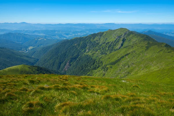 Yeşil dağ sırtlar ve alpine meadows — Stok fotoğraf