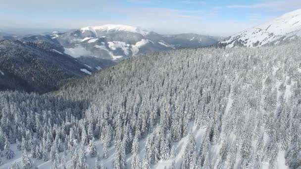 Летать над зимними горами в волшебный солнечный день — стоковое видео