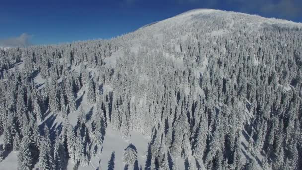 Vista panoramica aerea sulle montagne invernali — Video Stock