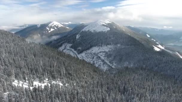 Vista aérea das montanhas na noite mágica de inverno — Vídeo de Stock