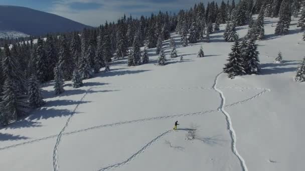 Vista aérea de um viajante que está andando em sapatos de neve em uma lagoa de montanha — Vídeo de Stock