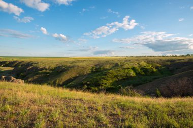 Yeşil çayır sihirli peyzaj 