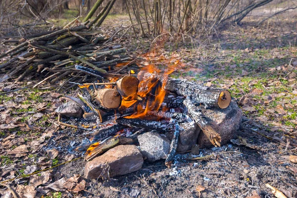 Lagerfeuer brennt im Herd aus den gesammelten Steinen — Stockfoto