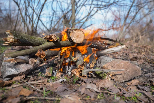 Campfire, close up, burns in the hearth from the collected stone