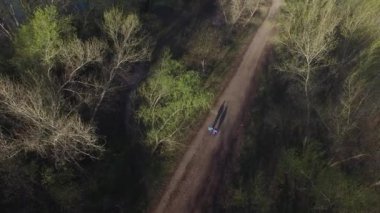 Bir köpek çiftle parkta yürüyor